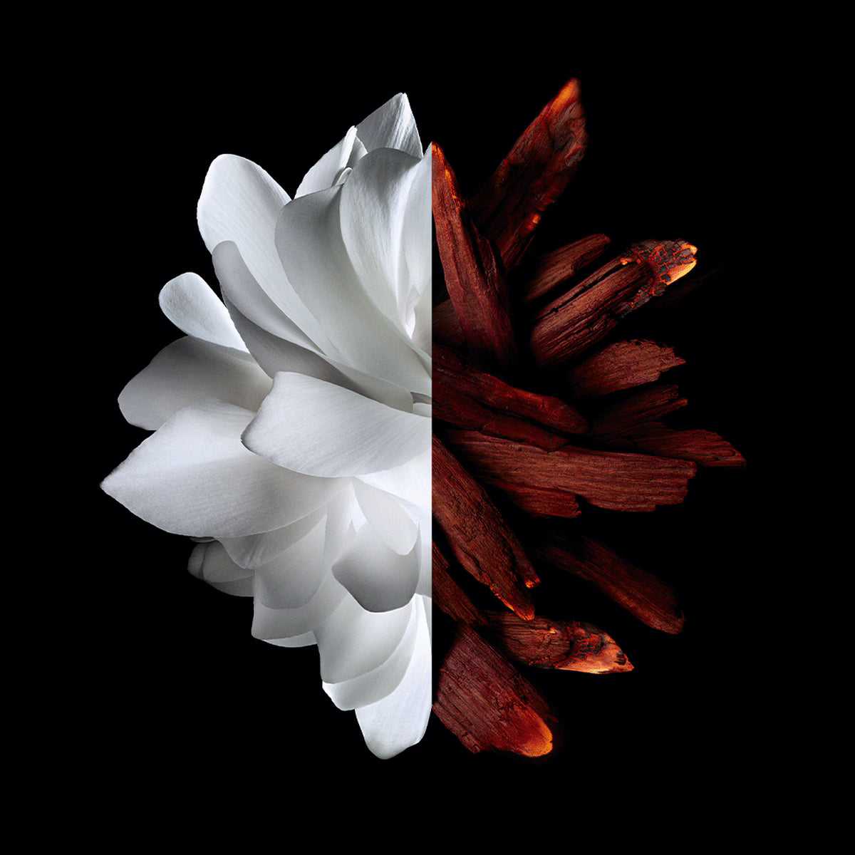 Givenchy L'Interdit Rouge Rubis Eau de Parfum