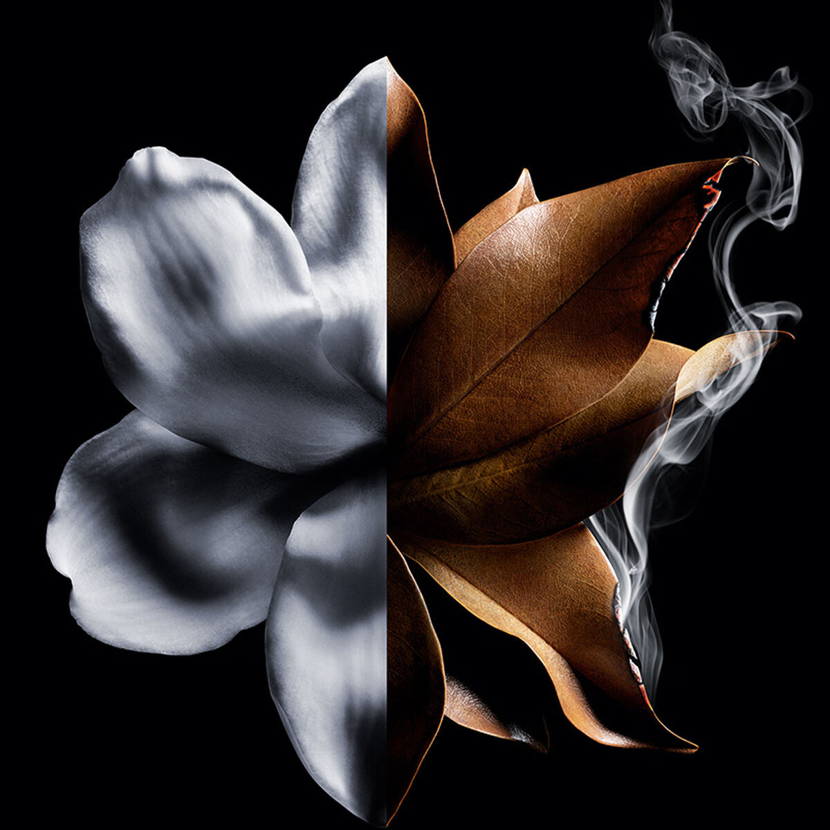Givenchy — L'Interdit Absolu Eau de Parfum Intense