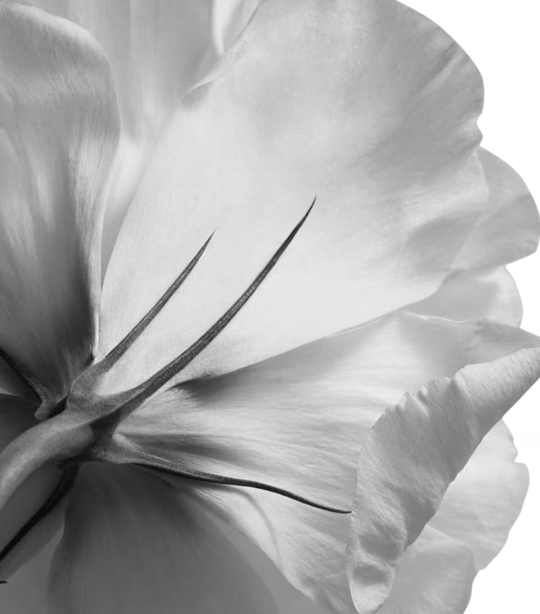 Givenchy — L'Interdit Eau de Parfum