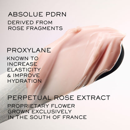 Lancôme Absolue Longevity The Soft Cream